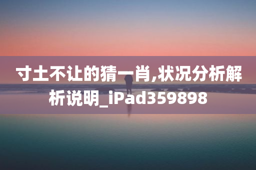 寸土不让的猜一肖,状况分析解析说明_iPad359898