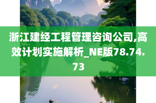 浙江建经工程管理咨询公司,高效计划实施解析_NE版78.74.73