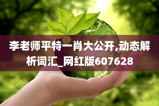 李老师平特一肖大公开,动态解析词汇_网红版607628