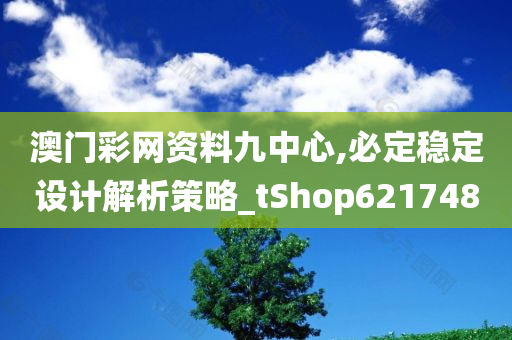 澳门彩网资料九中心,必定稳定设计解析策略_tShop621748