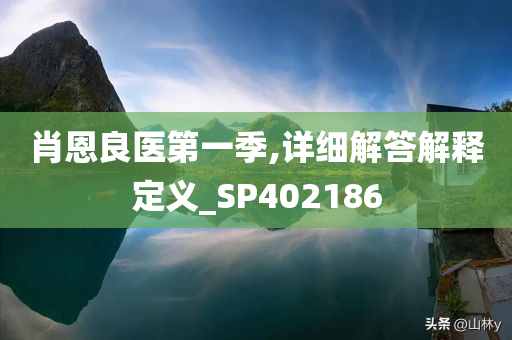 肖恩良医第一季,详细解答解释定义_SP402186