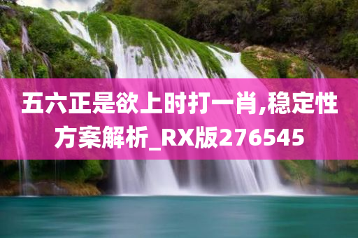 五六正是欲上时打一肖,稳定性方案解析_RX版276545