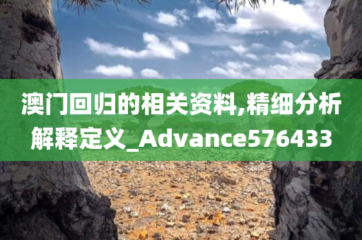 澳门回归的相关资料,精细分析解释定义_Advance576433