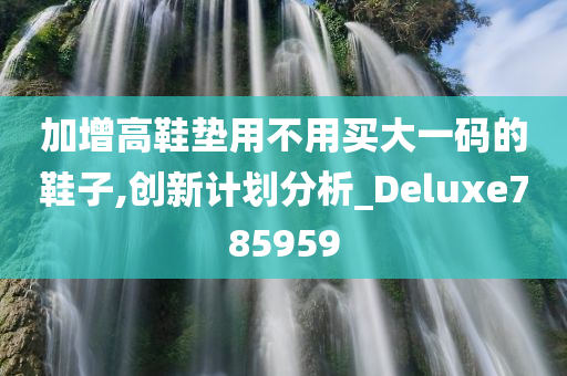 加增高鞋垫用不用买大一码的鞋子,创新计划分析_Deluxe785959