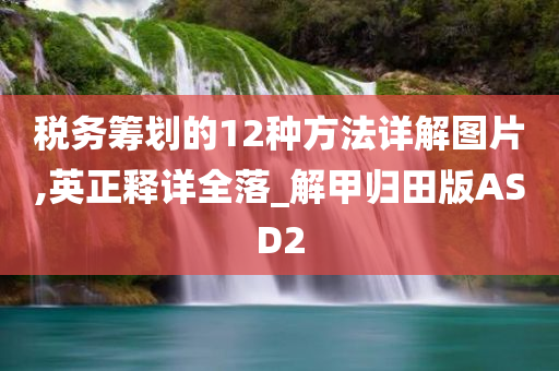 税务筹划的12种方法详解图片,英正释详全落_解甲归田版ASD2