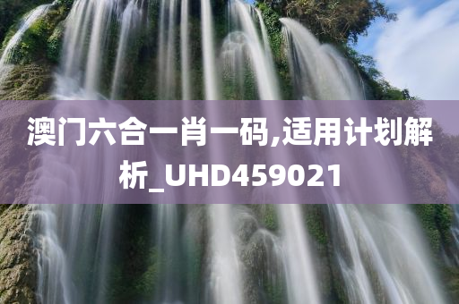 澳门六合一肖一码,适用计划解析_UHD459021