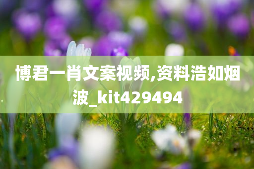 博君一肖文案视频,资料浩如烟波_kit429494