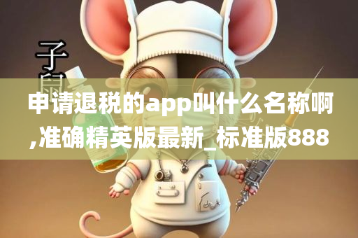 申请退税的app叫什么名称啊,准确精英版最新_标准版888