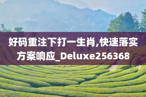 好码重注下打一生肖,快速落实方案响应_Deluxe256368