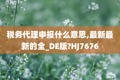 税务代理申报什么意思,最新最新的全_DE版?HJ7676