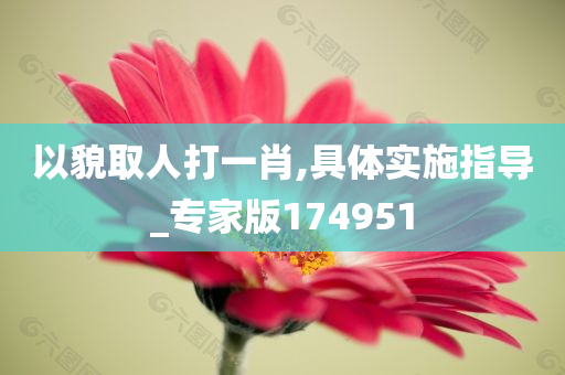 以貌取人打一肖,具体实施指导_专家版174951