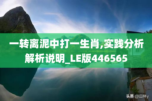 一转离泥中打一生肖,实践分析解析说明_LE版446565