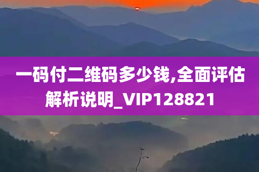 一码付二维码多少钱,全面评估解析说明_VIP128821