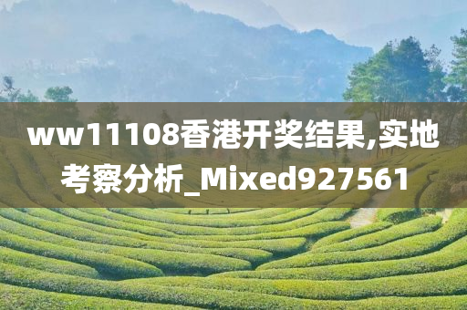 ww11108香港开奖结果,实地考察分析_Mixed927561