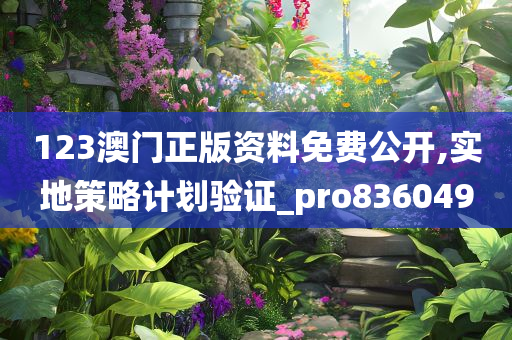 123澳门正版资料免费公开,实地策略计划验证_pro836049