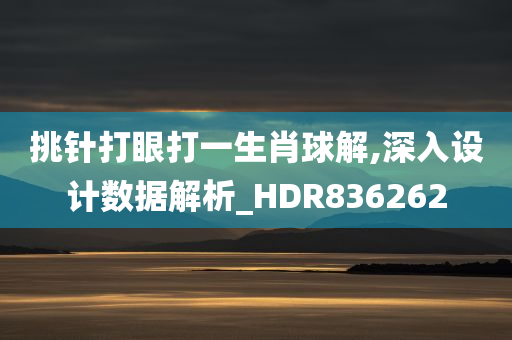 挑针打眼打一生肖球解,深入设计数据解析_HDR836262