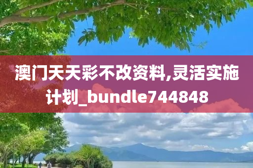 澳门天天彩不改资料,灵活实施计划_bundle744848