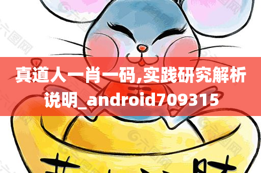 真道人一肖一码,实践研究解析说明_android709315