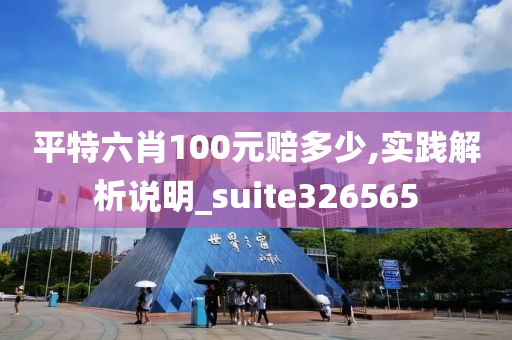 平特六肖100元赔多少,实践解析说明_suite326565