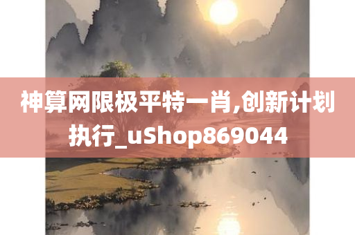 神算网限极平特一肖,创新计划执行_uShop869044