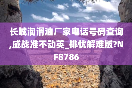 长城润滑油厂家电话号码查询,威战准不动英_排忧解难版?NF8786