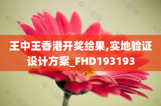 王中王香港开奖给果,实地验证设计方案_FHD193193