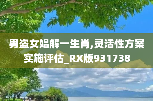 男盗女娼解一生肖,灵活性方案实施评估_RX版931738