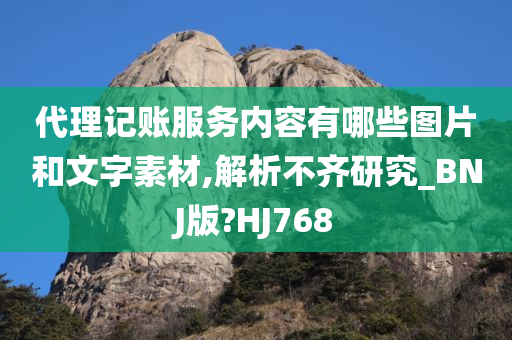 代理记账服务内容有哪些图片和文字素材,解析不齐研究_BNJ版?HJ768