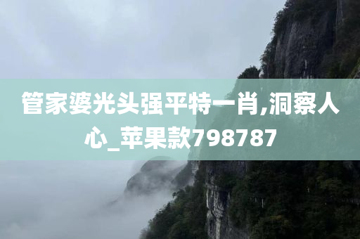 管家婆光头强平特一肖,洞察人心_苹果款798787