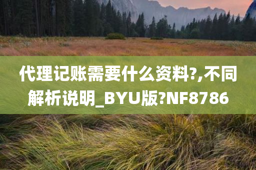 代理记账需要什么资料?,不同解析说明_BYU版?NF8786