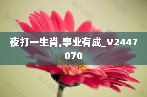 夜打一生肖,事业有成_V2447070