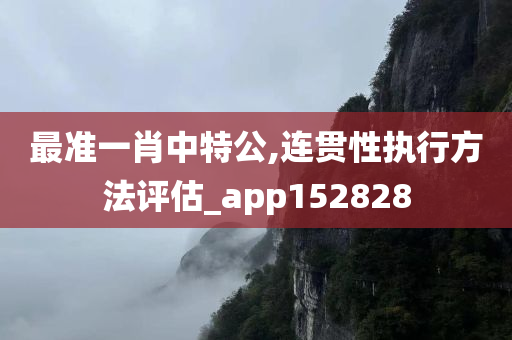 最准一肖中特公,连贯性执行方法评估_app152828