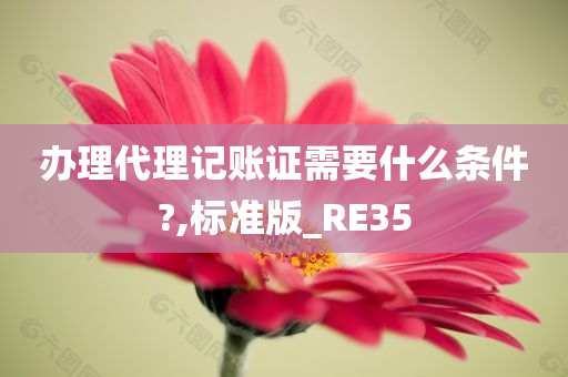 办理代理记账证需要什么条件?,标准版_RE35