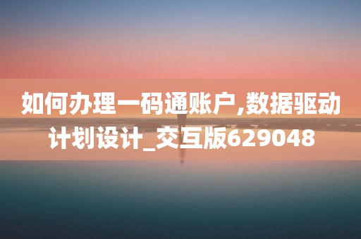 如何办理一码通账户,数据驱动计划设计_交互版629048