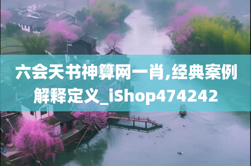 六会天书神算网一肖,经典案例解释定义_iShop474242