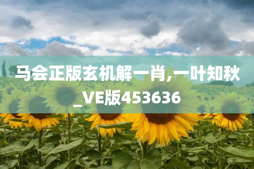 马会正版玄机解一肖,一叶知秋_VE版453636