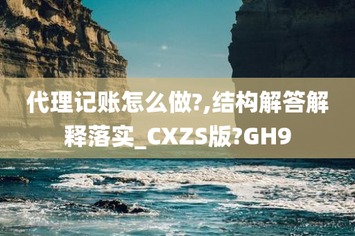 代理记账怎么做?,结构解答解释落实_CXZS版?GH9