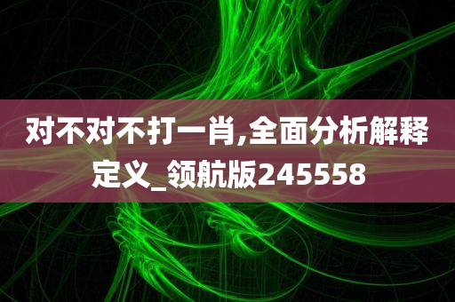 对不对不打一肖,全面分析解释定义_领航版245558