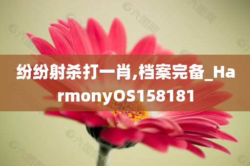 纷纷射杀打一肖,档案完备_HarmonyOS158181