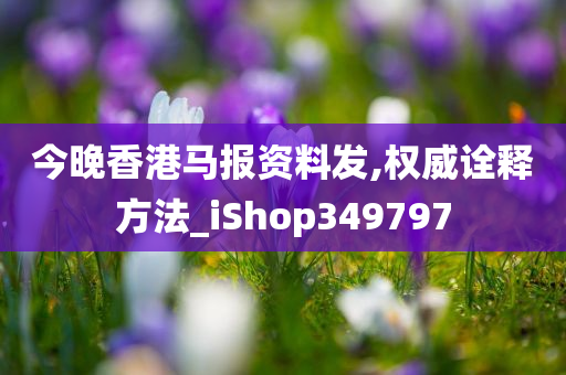 今晚香港马报资料发,权威诠释方法_iShop349797