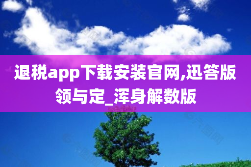 退税app下载安装官网,迅答版领与定_浑身解数版