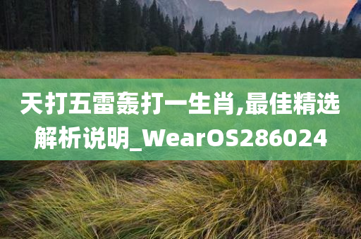 天打五雷轰打一生肖,最佳精选解析说明_WearOS286024