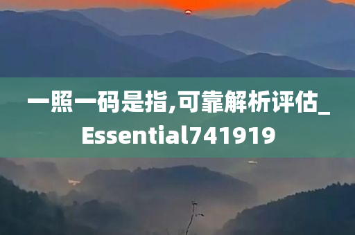 一照一码是指,可靠解析评估_Essential741919