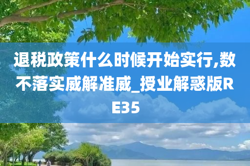 退税政策什么时候开始实行,数不落实威解准威_授业解惑版RE35