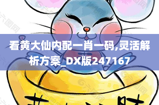 看黄大仙内配一肖一码,灵活解析方案_DX版247167