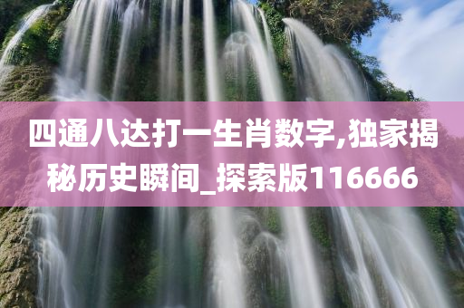 四通八达打一生肖数字,独家揭秘历史瞬间_探索版116666