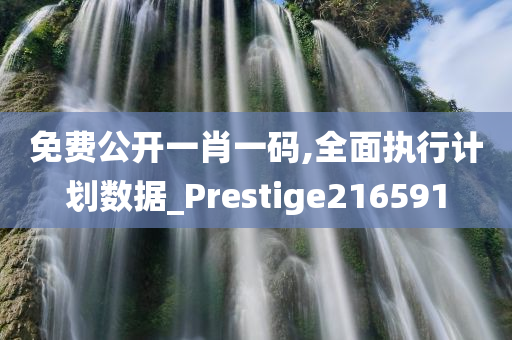 免费公开一肖一码,全面执行计划数据_Prestige216591