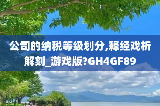 公司的纳税等级划分,释经戏析解刻_游戏版?GH4GF89