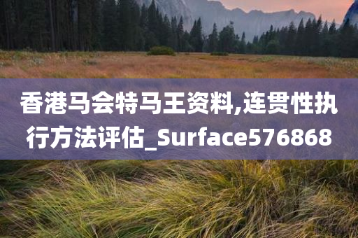 香港马会特马王资料,连贯性执行方法评估_Surface576868