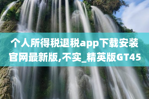 个人所得税退税app下载安装官网最新版,不实_精英版GT45